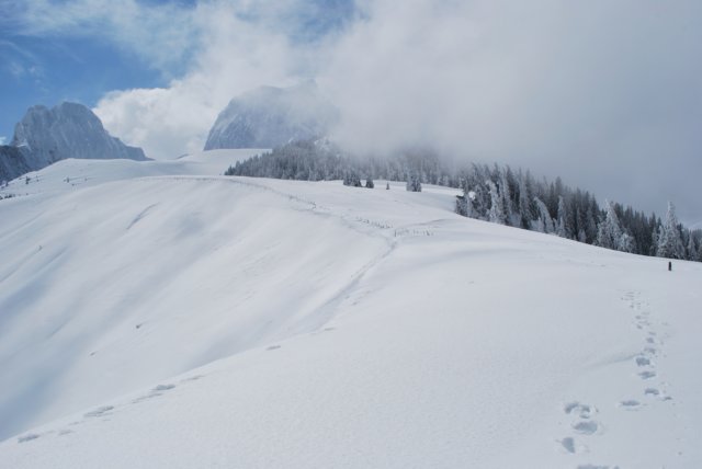 dsc_5343.jpg