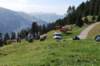 dsc_5851_small.jpg