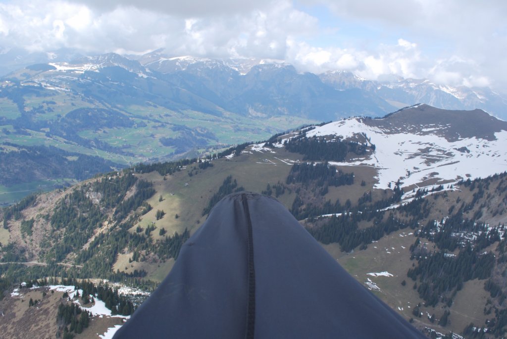 dsc_7877.jpg