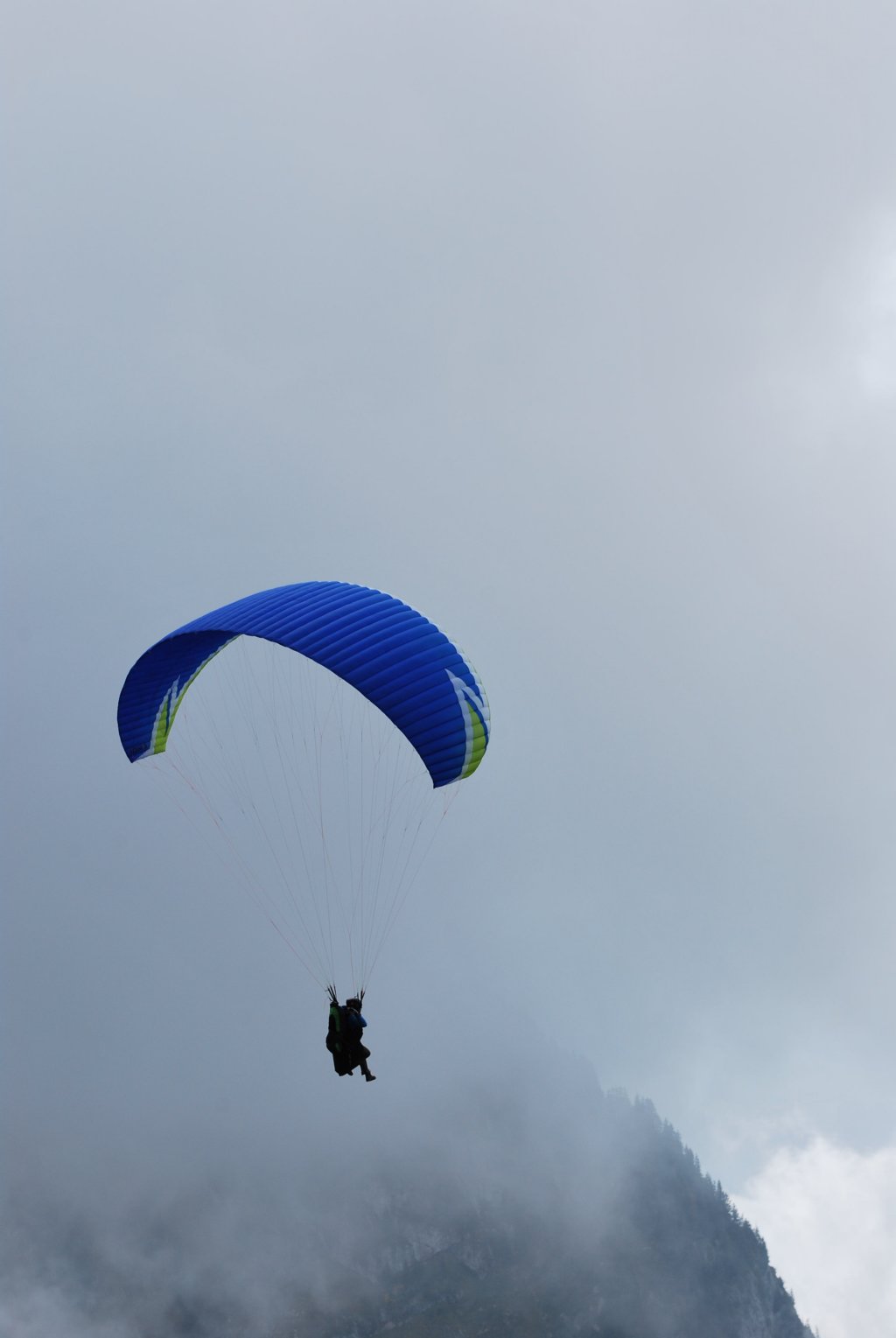 dsc_8737.jpg