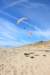 dsc_0470_small.jpg