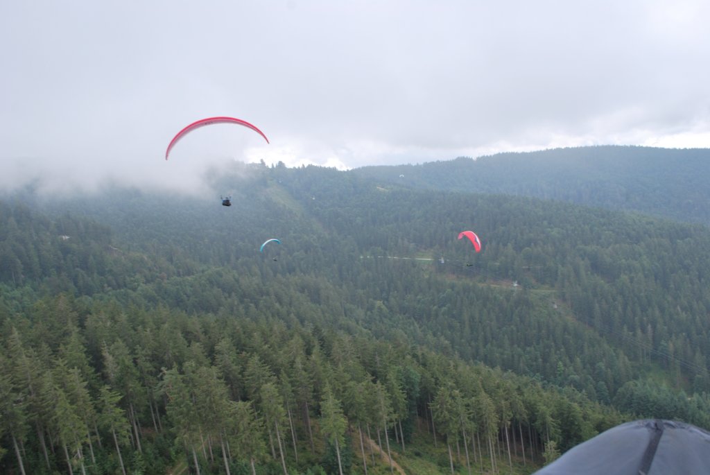 dsc_3484.jpg
