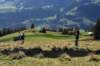 dsc_3627_small.jpg