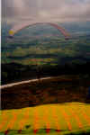 SP_4.jpg (33751 Byte)