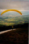 SP_5.jpg (30562 Byte)