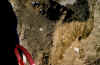 F_12.jpg (119339 Byte)