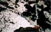 Niederhorn99 3.jpg (89832 Byte)