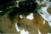 N99_10.jpg (75600 Byte)