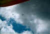 N99_6.jpg (48613 Byte)