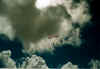 N99_9.jpg (50131 Byte)