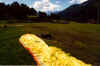 20 Fiesch-Ilanz.jpg (120424 Byte)