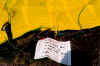 Laveno2000 SP 2.jpg (139464 Byte)