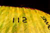 1 Fiesch 1.8.01.jpg (172060 Byte)