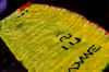 1 Fiesch 26.8.01.jpg (182687 Byte)
