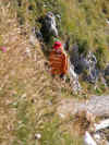 DSCN0556.JPG (451714 Byte)