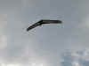 DSCN0590.JPG (107144 Byte)