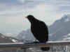 DSCN2104.JPG (693511 Byte)