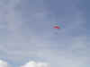 DSCN2155.JPG (799675 Byte)